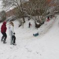 IMG_5711